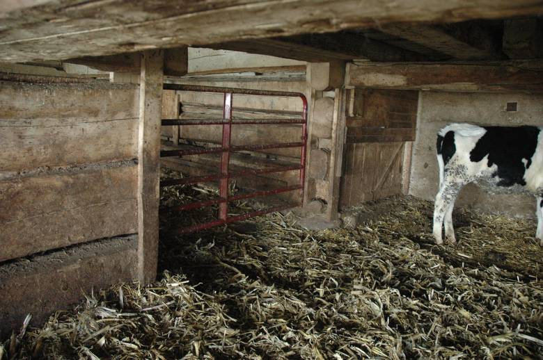 Double Pen Log Barn / 42x70 Bank Barn. Interior and Exterior photos.